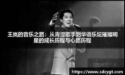 王岚的音乐之路：从青涩歌手到华语乐坛璀璨明星的成长历程与心路历程